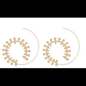 Honeycomb Spiral Hoop Earrings
